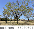 Fresh green of Inari Park, Toyama Prefecture 88970695