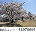 Sakura and Tenmon Bridge in Toyama Return Water Park 88970696