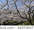 Toyama Matsukawa River Cherry Blossoms 88970697