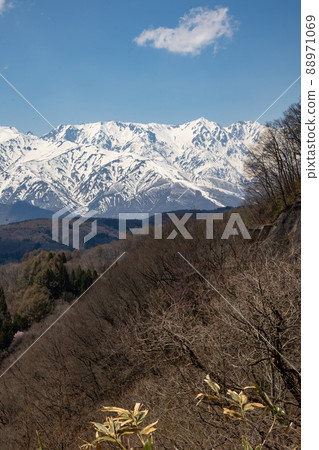 Northern Alps seen from Shirasawa Pass, Nagano Prefecture 88971069