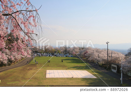 佐倉舞鶴山天童公園(山形縣天童市) 佐倉舞鶴山天童公園(山形縣天童市) 88972026