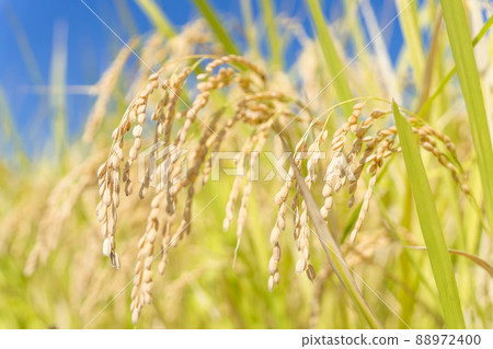 Blue Sky and Rainbow 88972400