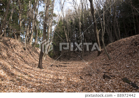 Honmaru Kubori that remains in the remains of Nagaisaka Castle Honmaru Kubori that remains in the remains of Nagaisaka Castle 88972442
