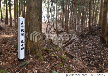 Nagai Sakajo pursuit trace Nagai Sakajo pursuit trace 88972457