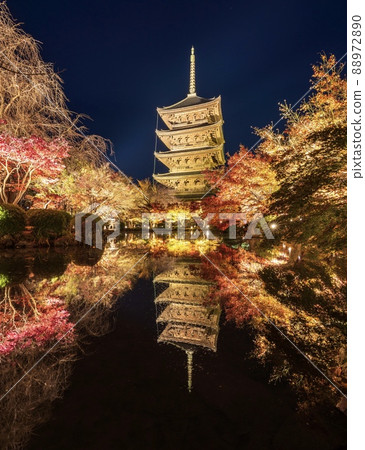 《Kyoto》 Illuminated autumn leaves at Toji Temple 88972890