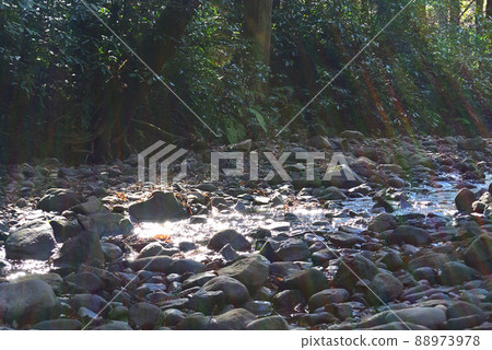 三浦阿爾卑斯 88973978