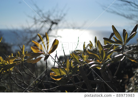 早春遠眺大海 早春遠眺大海 88973983