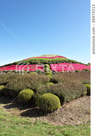 Tsukayama Kofun where azaleas bloom 88974313