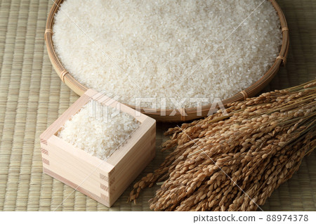 飯 飯 88974378