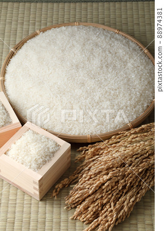 飯 飯 88974381
