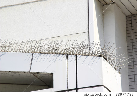 Mt. Tsurugi (Mt. Tsurugi) Mt. Tsurugi (Mt. Tsurugi) 88974785