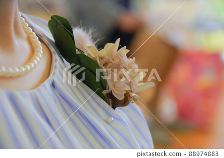 Women's chest 88974883