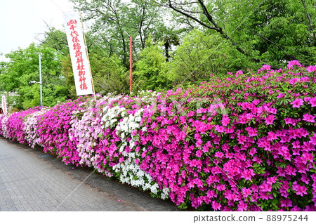 Nagoya cityscape, Ochobo Inari Nagoya cityscape, Ochobo Inari 88975244