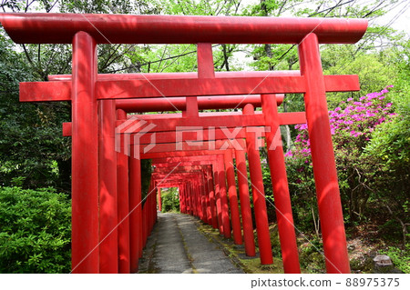 千代峰稻荷神社名古屋店 千代峰稻荷神社名古屋店 88975375