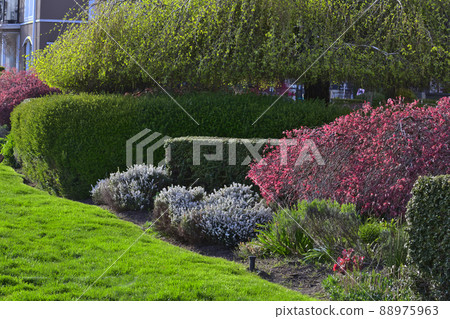 Spring garden Spring garden 88975963