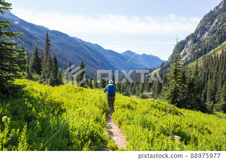 Summer hike Summer hike 88975977
