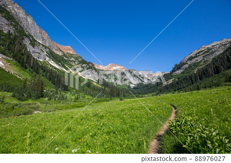 Mountains in Washington 88976027