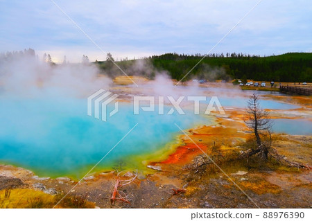 餅乾盆黑歐泊彈簧 餅乾盆黑歐泊彈簧 88976390