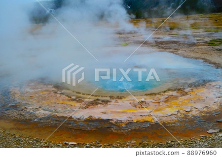 Biscuit Basin Mustard Spring (East Geyser) Biscuit Basin Mustard Spring (East Geyser) 88976960