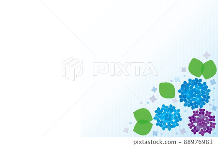 繡球花條紋框架空白 88976981