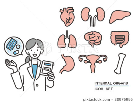 藥劑師解釋內臟的矢量圖解材料/心臟/身體部位 88976996