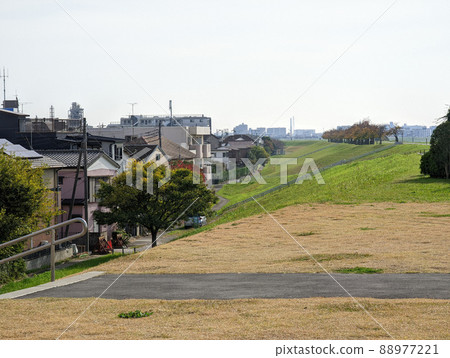 東京江戶川河床(2021年11月) 東京江戶川河床(2021年11月) 88977221