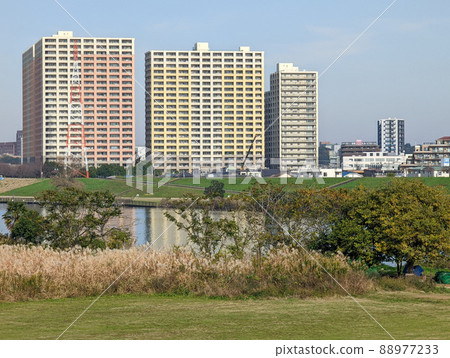 Tokyo Edogawa Riverbed (November 2021) Tokyo Edogawa Riverbed (November 2021) 88977233