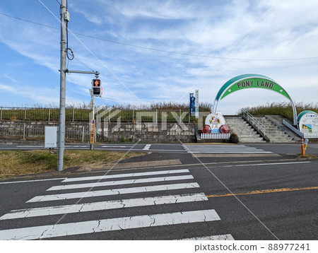 Tokyo Edogawa Riverbed (November 2021) Tokyo Edogawa Riverbed (November 2021) 88977241