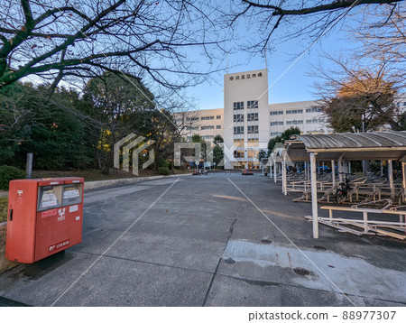 Tokyo Kita Adachi Market (November 2021) Tokyo Kita Adachi Market (November 2021) 88977307