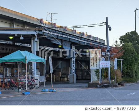 東京北足立市場(2021年11月) 東京北足立市場(2021年11月) 88977310