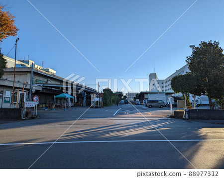 東京北足立市場(2021年11月) 東京北足立市場(2021年11月) 88977312