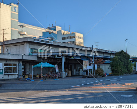東京北足立市場(2021年11月) 東京北足立市場(2021年11月) 88977315