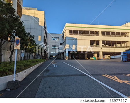 東京北足立市場(2021年11月) 東京北足立市場(2021年11月) 88977337