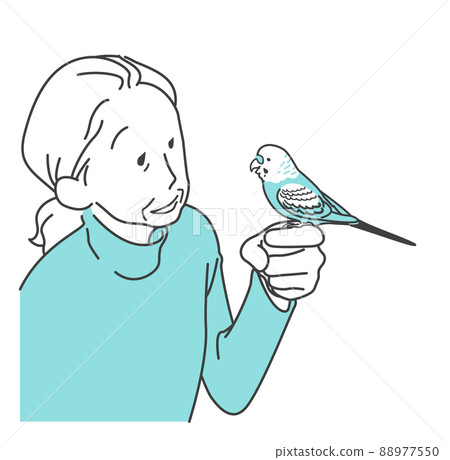 Grandmother enjoying chatting with a hand-held budgerigar-senior, pet, companion bird 88977550
