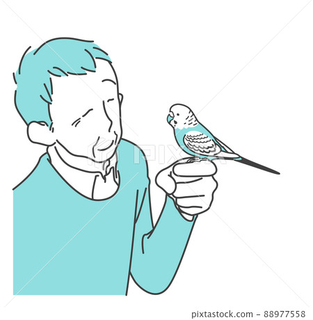 Grandfather enjoying chatting with a hand-held budgerigar-senior, pet, companion bird 88977558