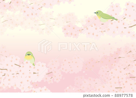 小櫻和兩隻白眼(橫長) 小櫻和兩隻白眼(橫長) 88977578