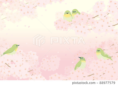 櫻花和白眼 櫻花和白眼 88977579