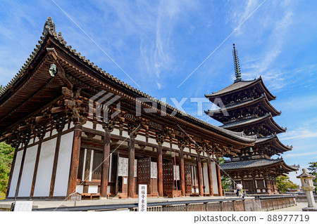 Nara Kofukuji Tokondo and Five-storied Pagoda Nara Kofukuji Tokondo and Five-storied Pagoda 88977719