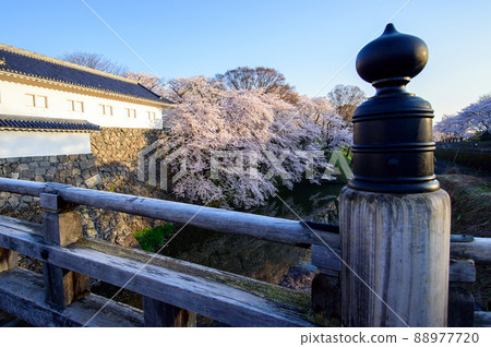 Kajo Park Fresh Morning Spring 山形縣 88977720