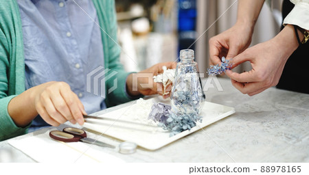 Herbarium making workshop 88978165