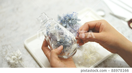 Herbarium making workshop 88978166