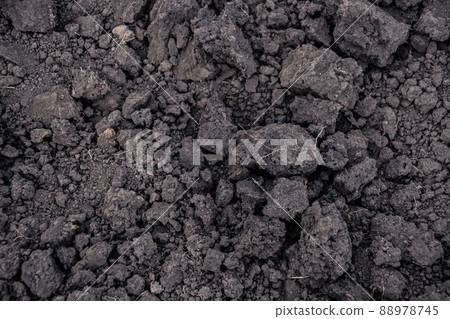 Damp soil for planting as background, garden fertile beds. Natural texture pattern Damp soil for planting as background, garden fertile beds. Natural texture pattern 88978745