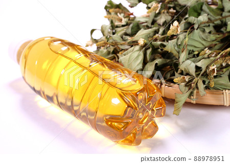 Houttuynia cordata tea and dried Houttuynia cordata leaves Houttuynia cordata tea and dried Houttuynia cordata leaves 88978951