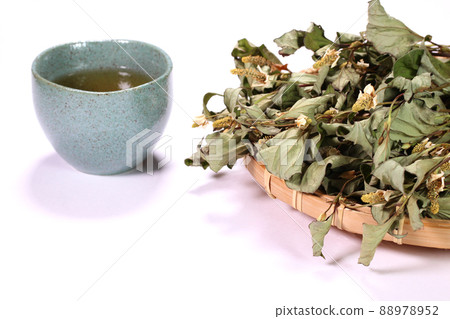 Houttuynia cordata tea and dried Houttuynia cordata leaves 88978952