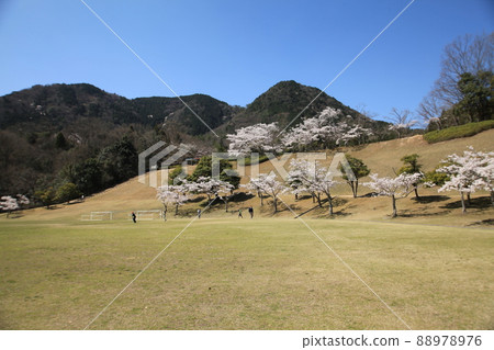Sakura and Mizugoshiyama in Kabe Sports Park Sakura and Mizugoshiyama in Kabe Sports Park 88978976