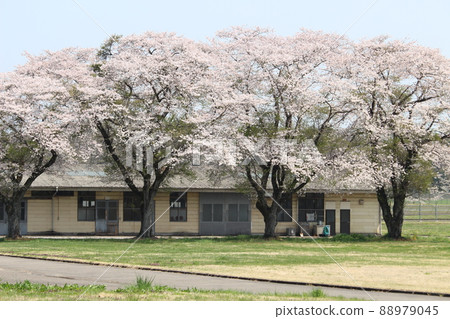 Goryo ranch Goryo ranch 88979045