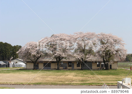 Goryo ranch Goryo ranch 88979046