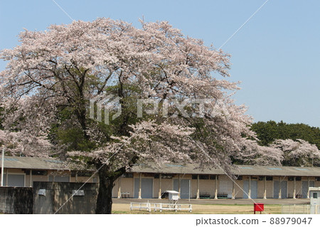 Goryo ranch Goryo ranch 88979047