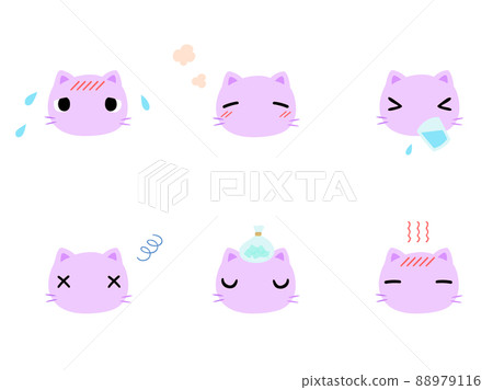 Poor physical condition, heat stroke, cat, no main line 88979116