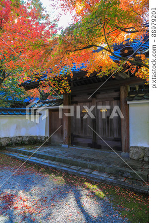 Nomiyama Kannonji Temple in Autumn Nomiyama Kannonji Temple in Autumn 88979201